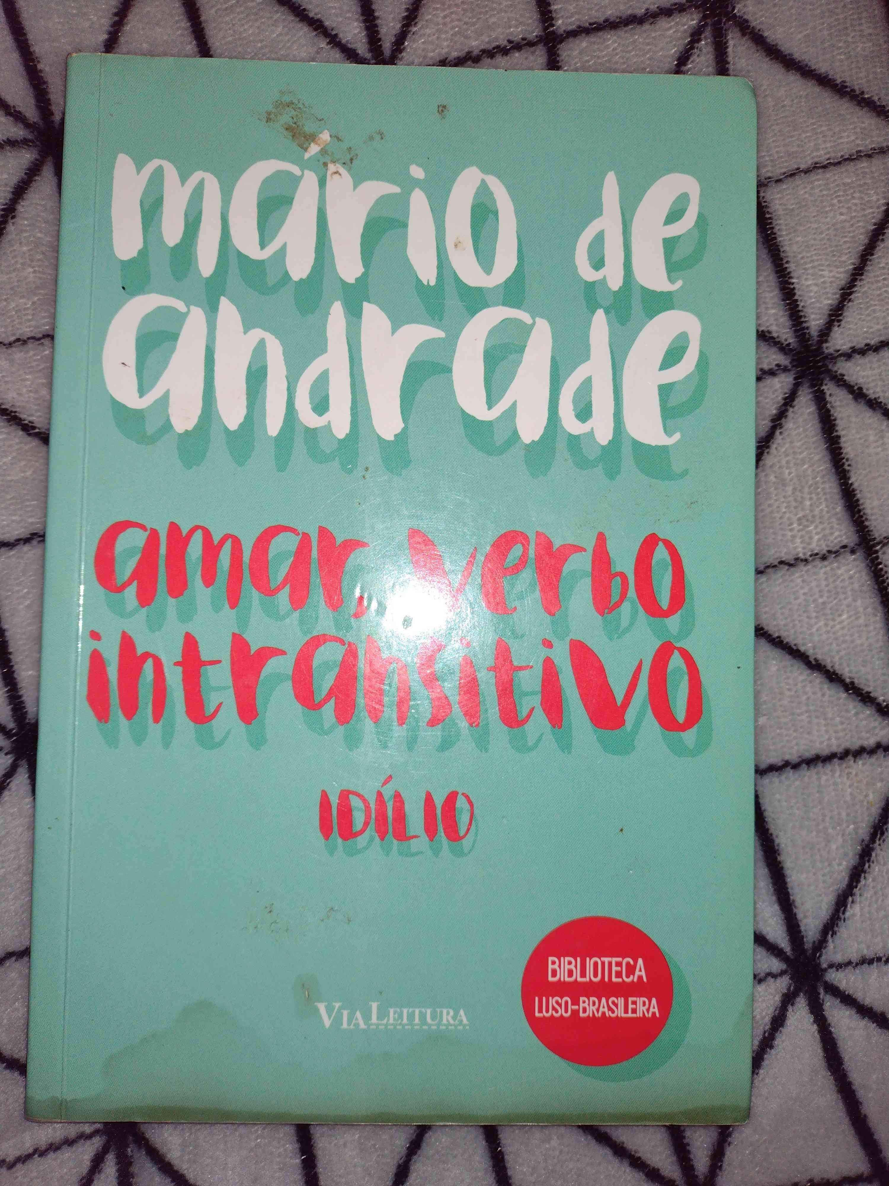Capa do livro Amar, verbo Intransitivel , de Mario De Andrade