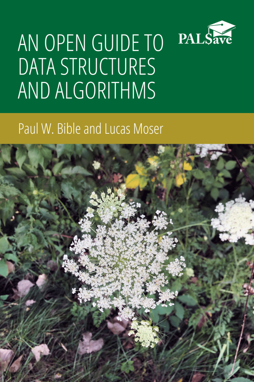 Capa do livro An Open Guide to Data Structures and Algorithms, de Paul W. Bible, Lucas Moser