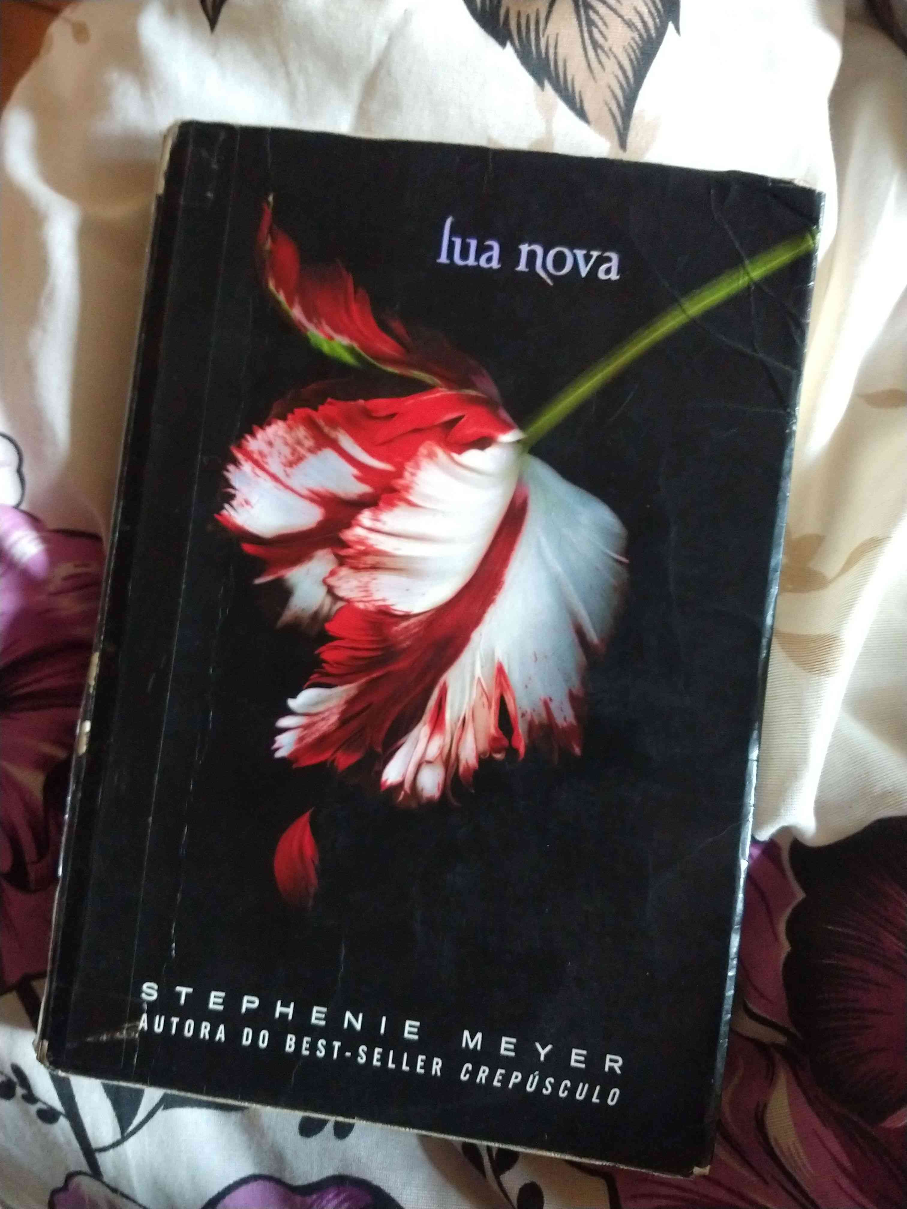 Capa do livro Lua nova , de Sthephenie Meyer