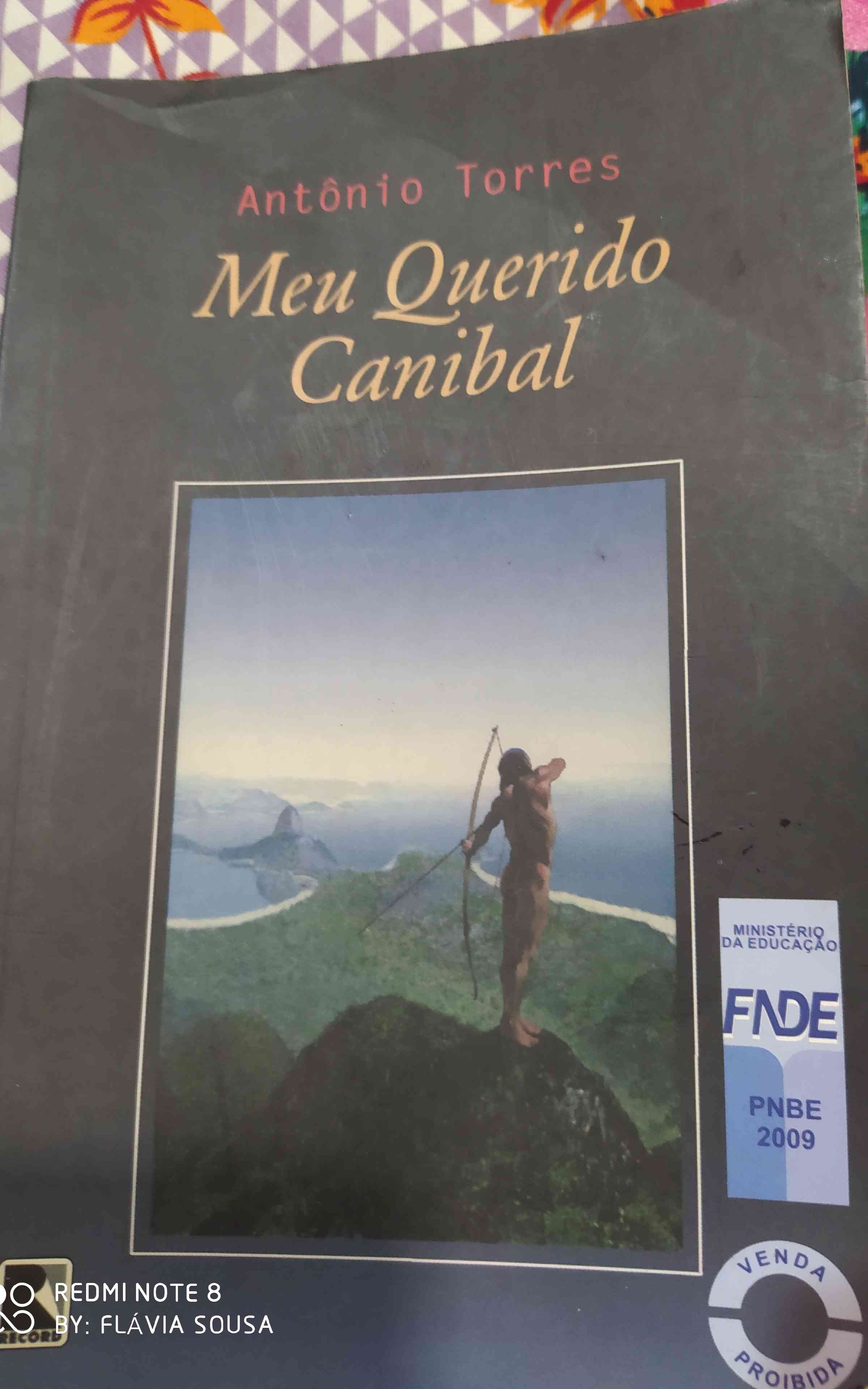 Capa do livro Meu querido canibal, de Antônio Torres
