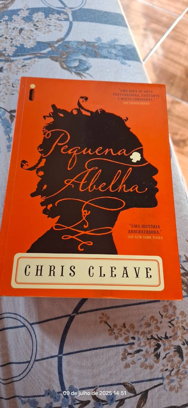 Capa do livro Pequena abelha , de Chis Cleave
