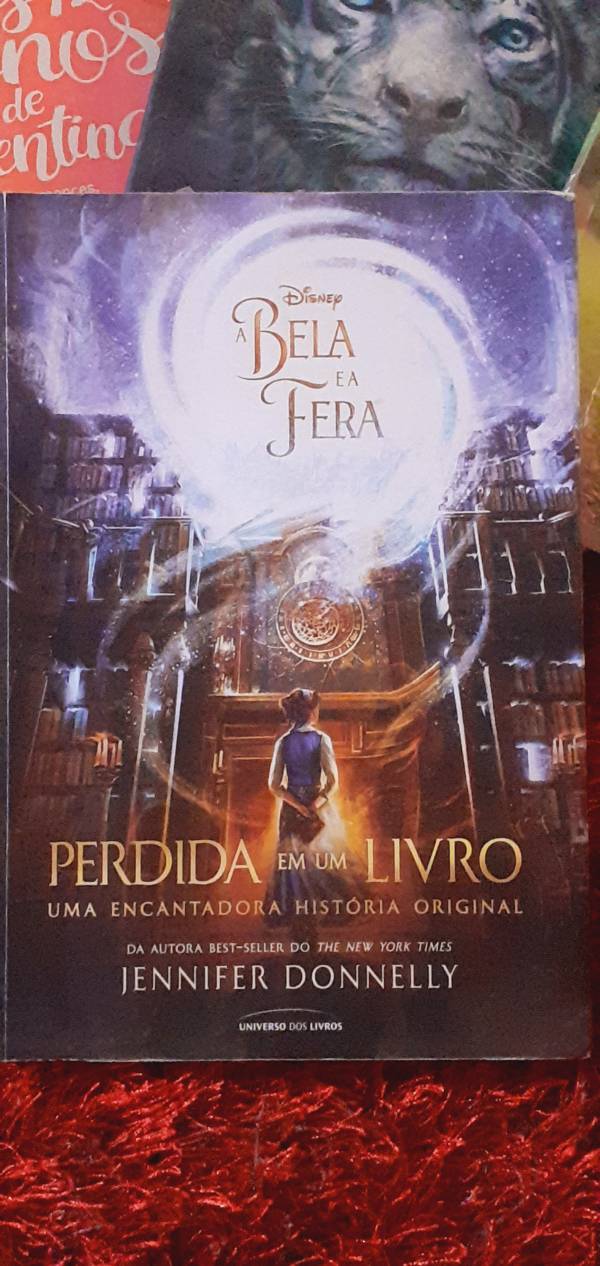 Capa do livro Perdida em um livro (Uma encantadora história original), de Jennifer Donnely