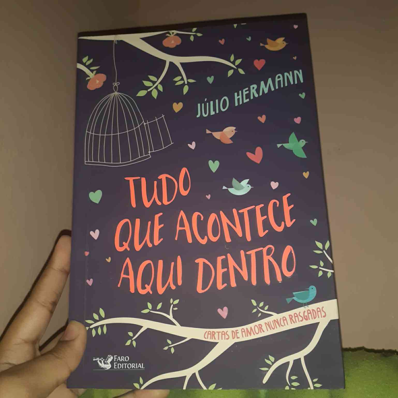 Capa do livro Tudo que acontece aqui dentro: Cartas de amor nunca rasgadas, de Júlio Hermann