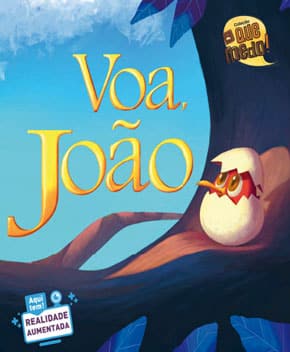 Capa do livro Voa, João, de Cleide Ramos