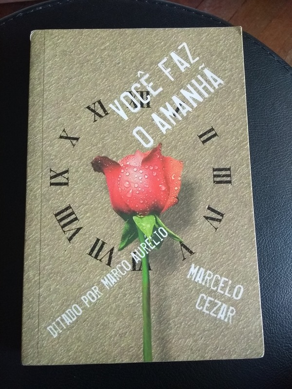 Capa do livro Você Faz o Amanhã, de Cezar,Marcelo